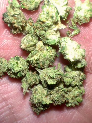 Customer photo review of Illuminati (smalls)