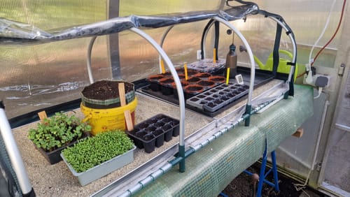 Customer photo review of Zimmergewächshaus mit Heizmatte & Digitalthermostat "Jumbo" XXL