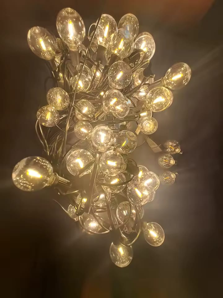 Customer photo review of LED Outdoor String Lights – Shatterproof & Weatherproof (Plugin)