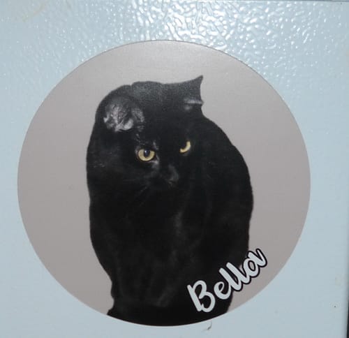 Customer photo review of Your photo - Personalized Car Magnet