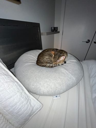 Customer photo review of Mochi Pudding Bed