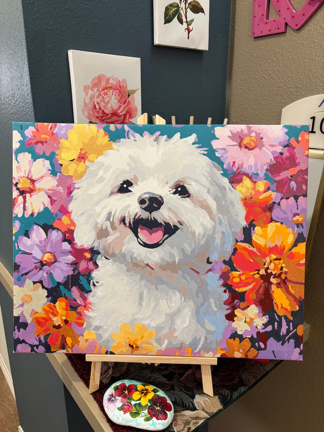 Customer photo review of Bichon Frise