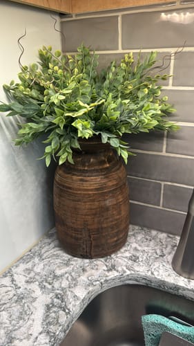 Customer photo review of Cemile Vine Bush