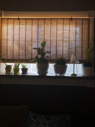 Customer photo review of Rustic Shelves with Brackets