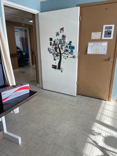 Customer's Fun Tree decal applied to a white door in a care facility and decorated with photos.
