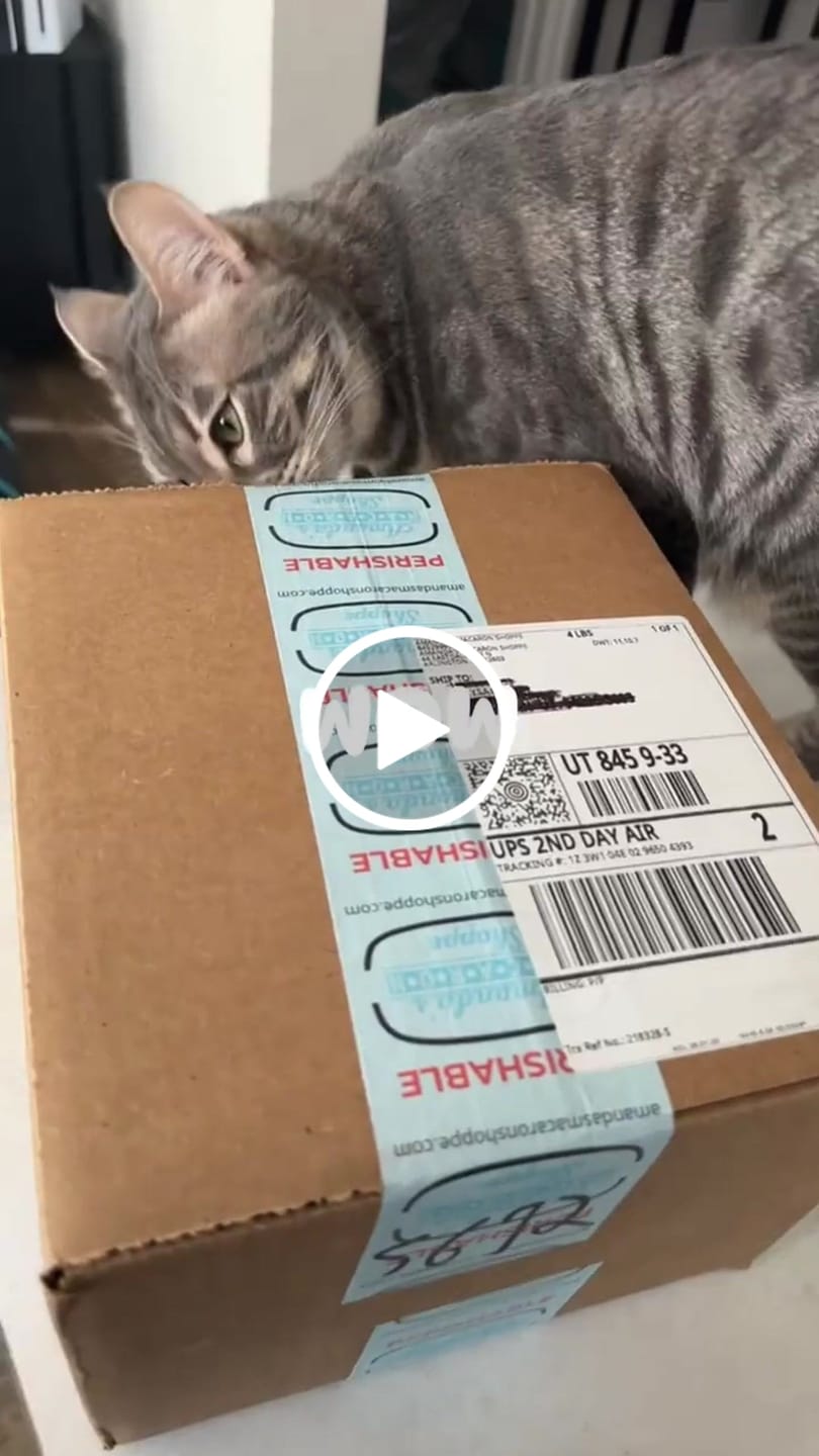 Customer video review of 20 Pack