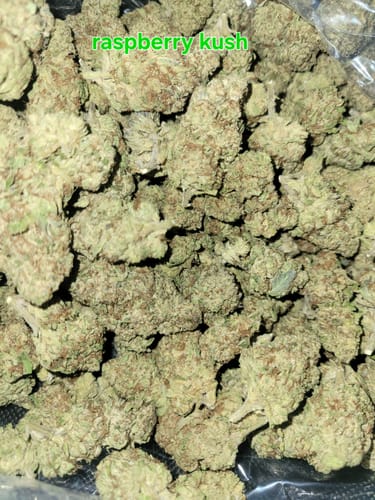 Customer photo review of Raspberry Kush - Bulk- Indica