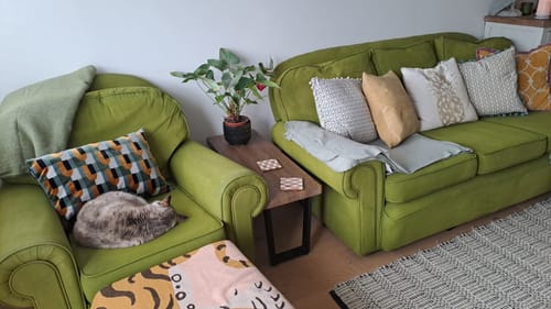 Customer photo review of Fabric Paint -- Olive