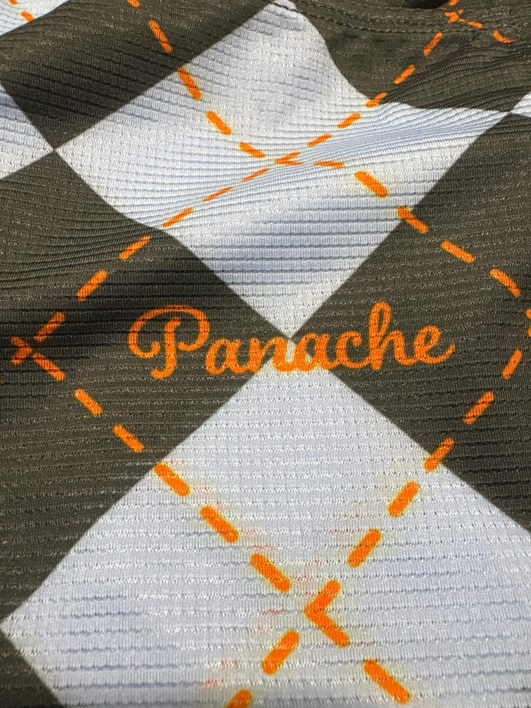 Customer photo review of Women's LS Speed Super Jersey - Lavender Argyle