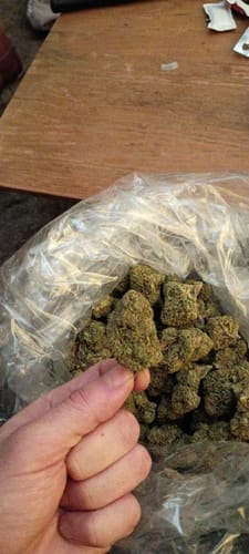 Customer photo review of Lemon Cherry Biscotti - Bulk - Hybrid