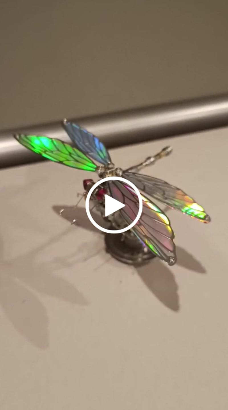 Customer video review of Dragonfly