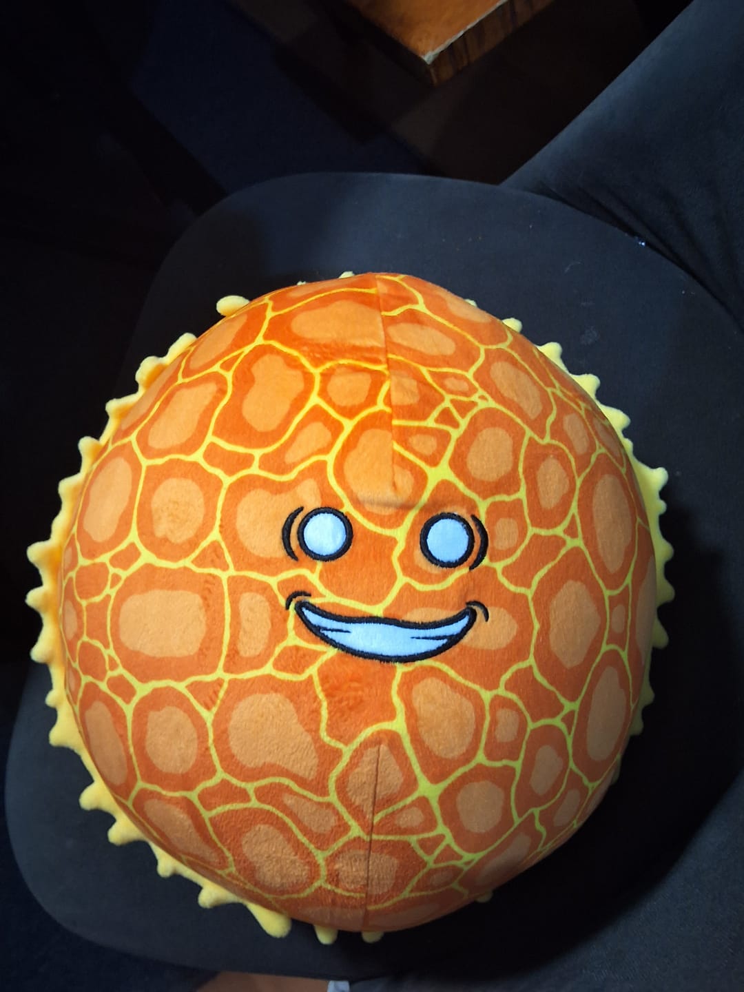 Customer photo review of The SolarBalls Sun Plush