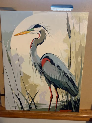 Customer photo review of Great Blue Heron in Marsh - Paint by Numbers Kit