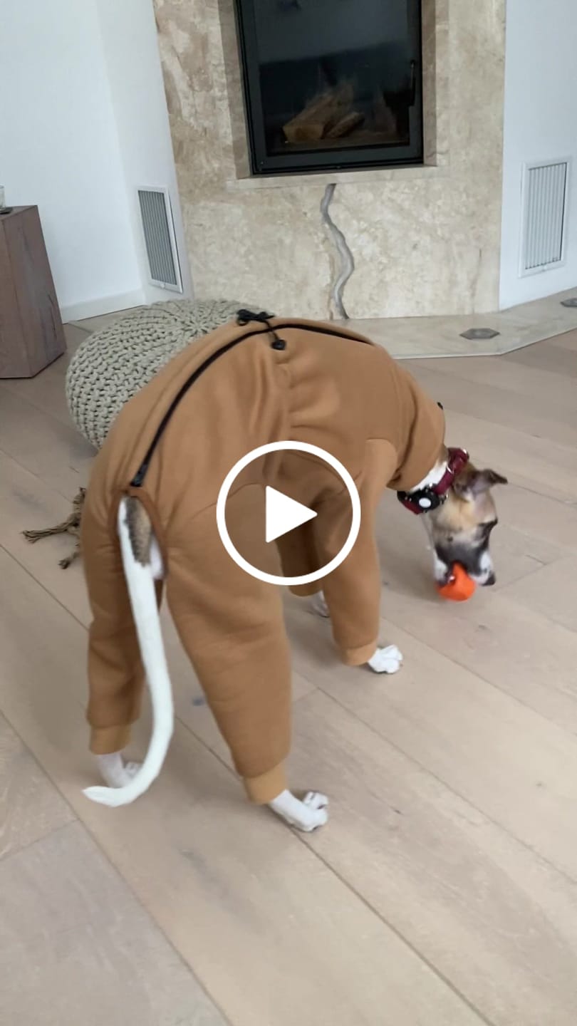 Customer video review of Nuuk "Camel"