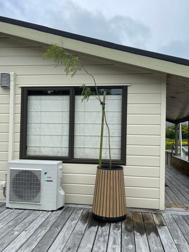 Customer photo review of Signature Conical Planter- Venetian