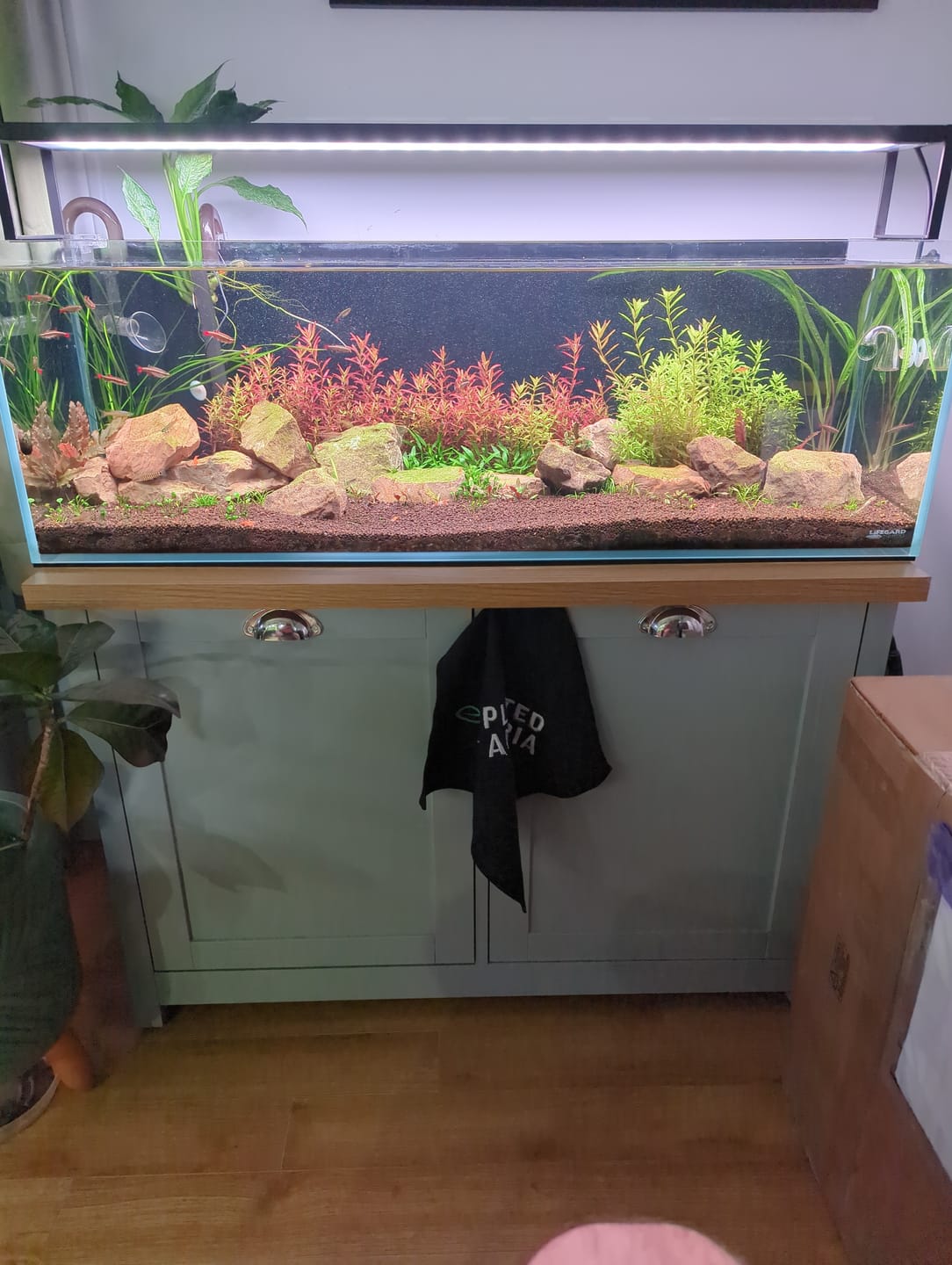 Customer photo review of Chihiros WRGB II Slim LED Light