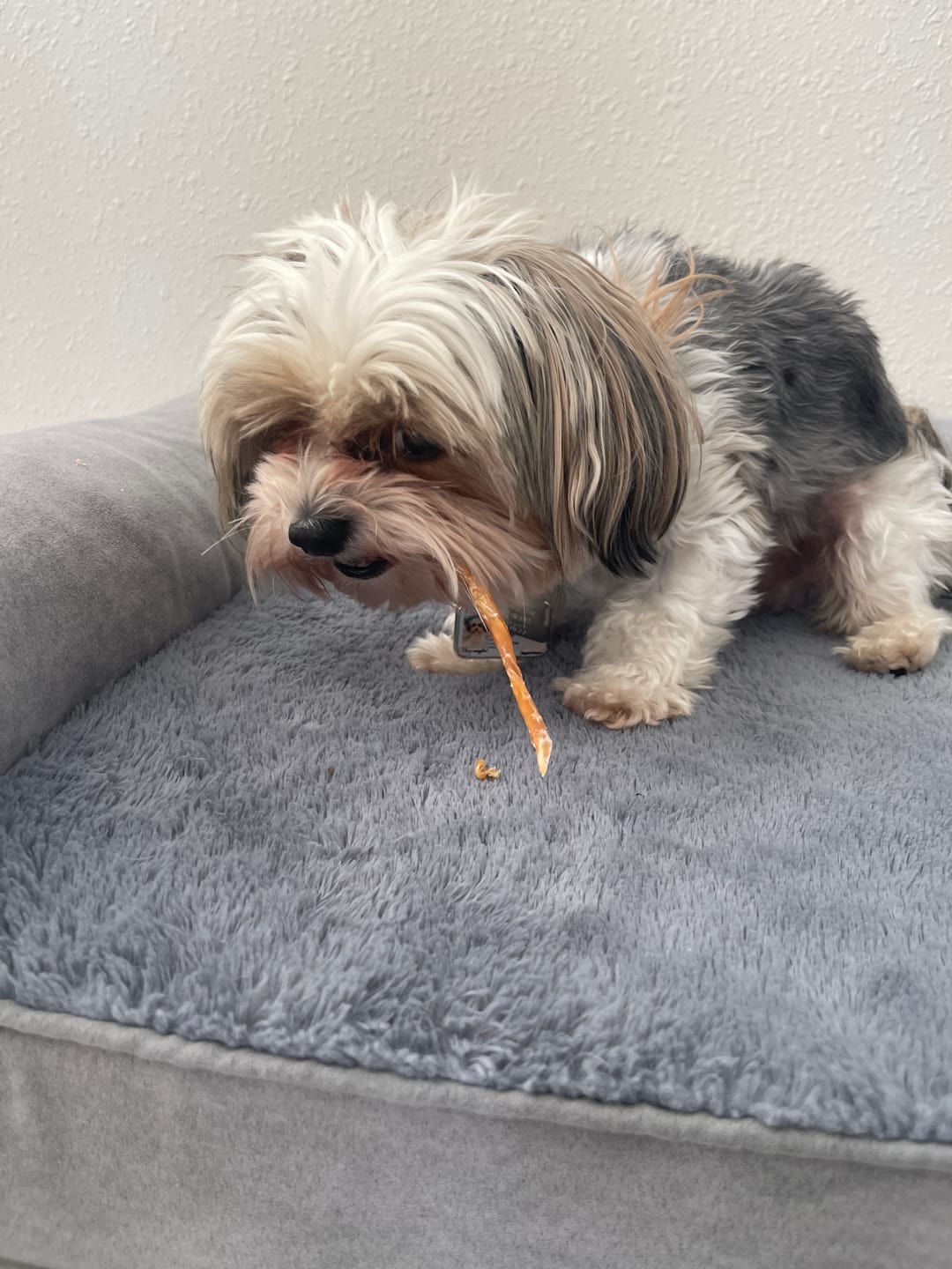 Customer photo review of USA Turkey Tendons