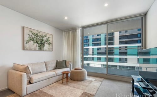 Customer photo review of Scented Eucalyptus Neutral, by Danhui Nai