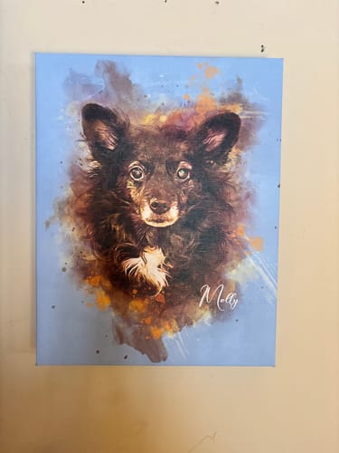 Customer's custom watercolor pet portrait of a dark, fluffy dog named Molly, printed on canvas.