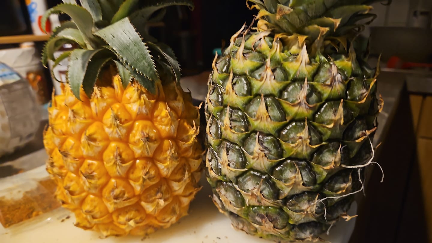 Customer photo review of Ananas Extra Sweet Bio
