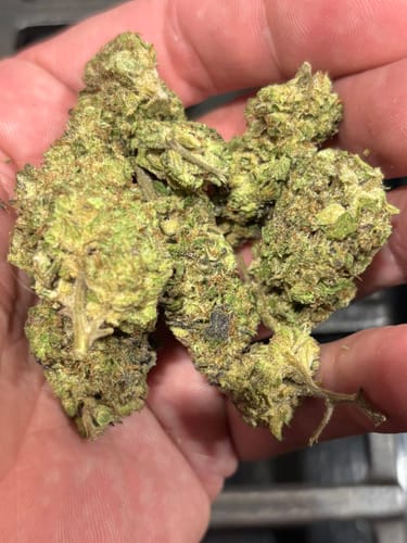 Customer photo review of Bubba Kush  - 14 Grams - Indica