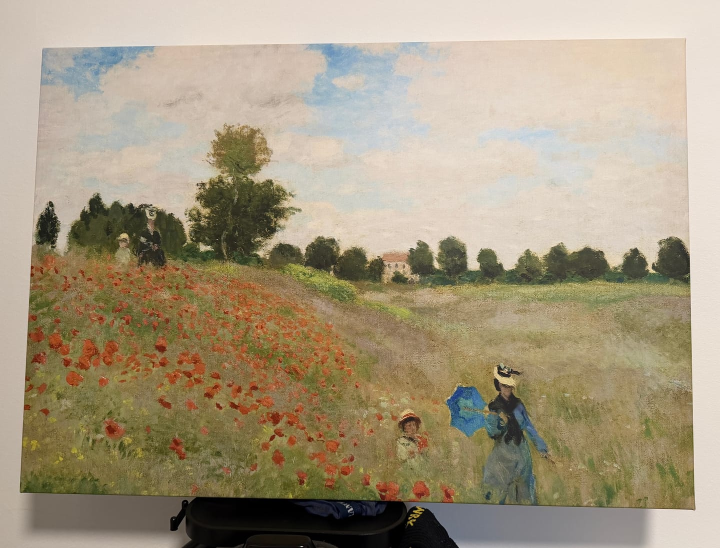 Customer photo review of I Papaveri di Monet