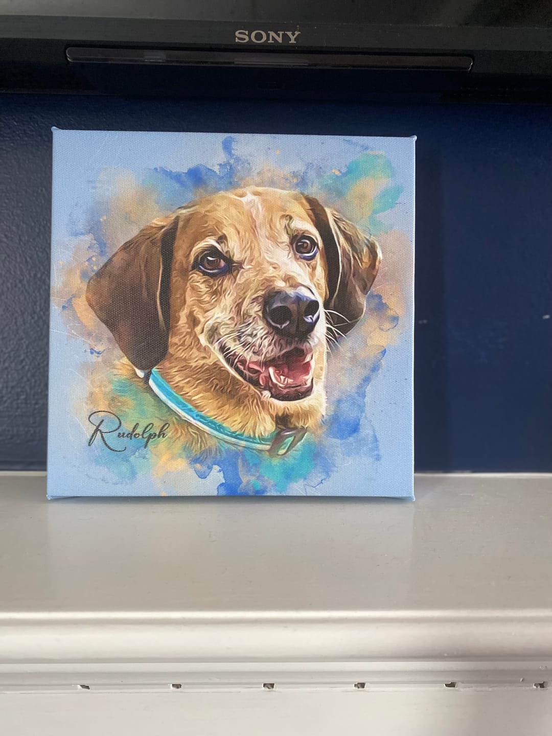 Customer photo review of Pet Art Canvas Print