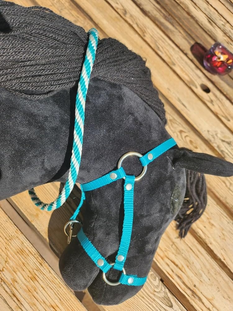 Customer photo review of Set Start Turqouise (halter + cordeo + lead rope + reins)