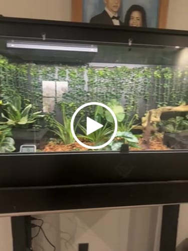 Customer video review of XT4 BIO24 (48Lx24Dx24H) - STACKABLE