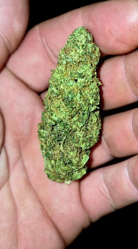 Customer photo review of Bulk THCA Flower Pounds
