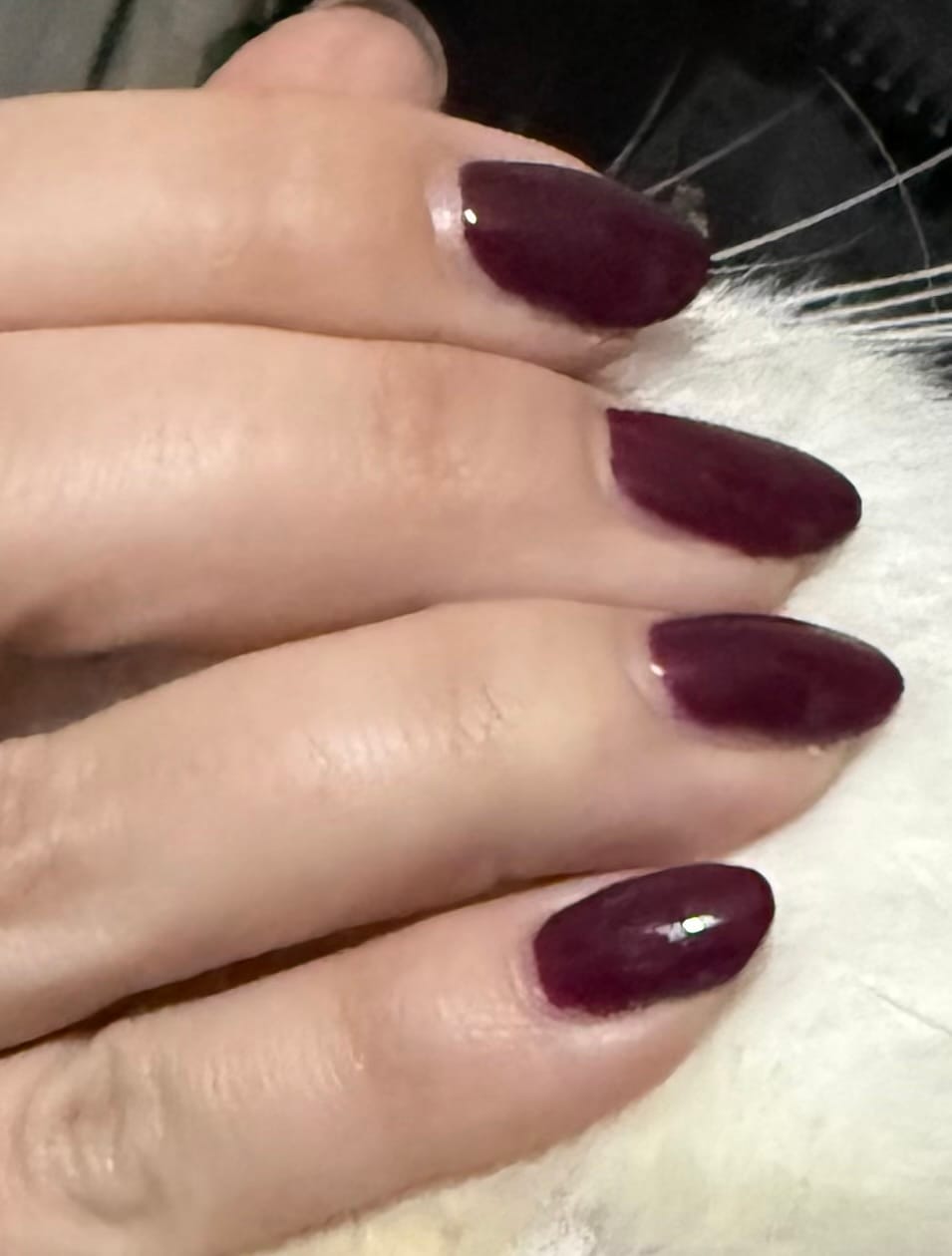 Customer photo review of Smalto Semipermanente LCI -  Melanzana - Viola