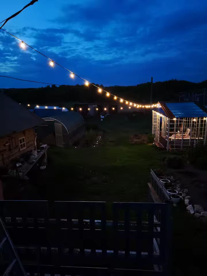 Customer photo review of LED Outdoor String Lights – Shatterproof & Weatherproof (Plugin)