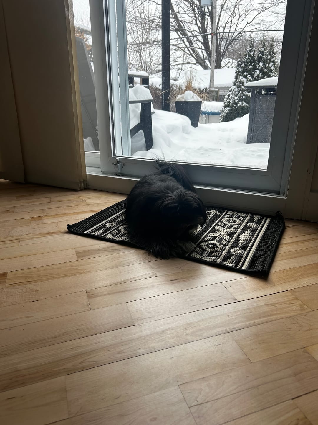Customer photo review of Butcher's Pup - Saucisse pour chien 1 lbs