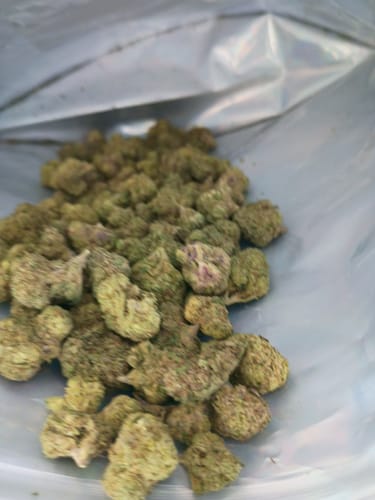 Customer photo review of LCG Runtz - Minis - 28 Grams - Hybrid