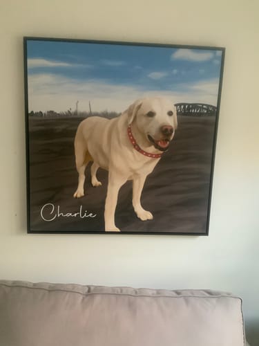 Customer photo review of Pet Art Canvas Wrap