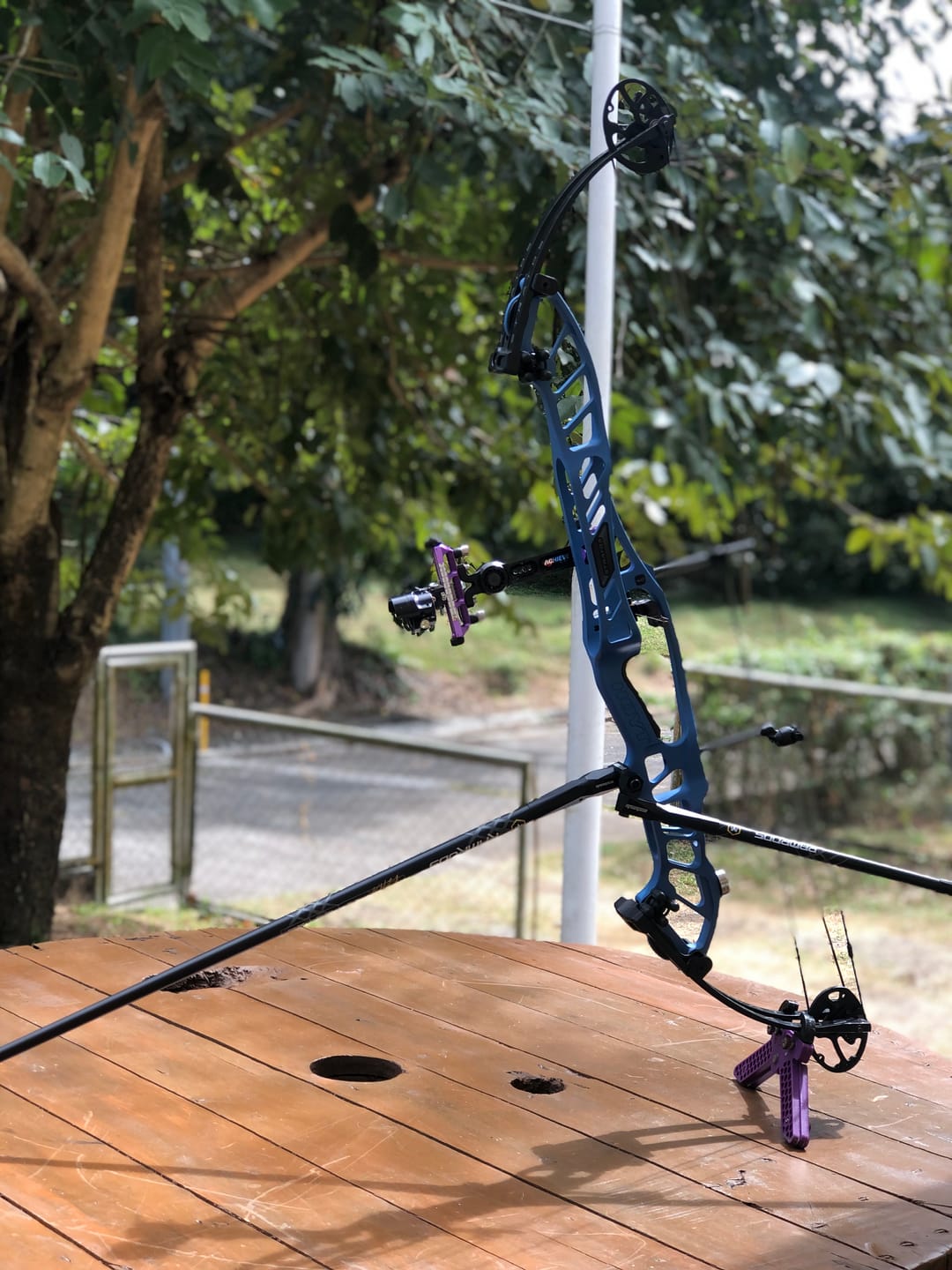 Customer photo review of Beast