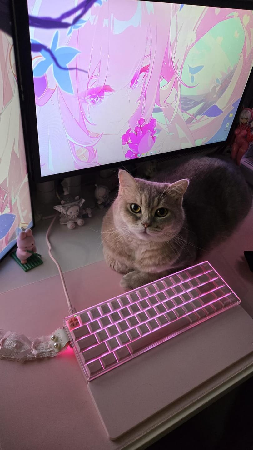 Customer photo review of Zirnex Ayne68 Alüminyum Klavye (Manyetik Switch / HE)
