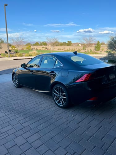 Customer photo review of RUBBIT Electric Plus Trial Kit [s]