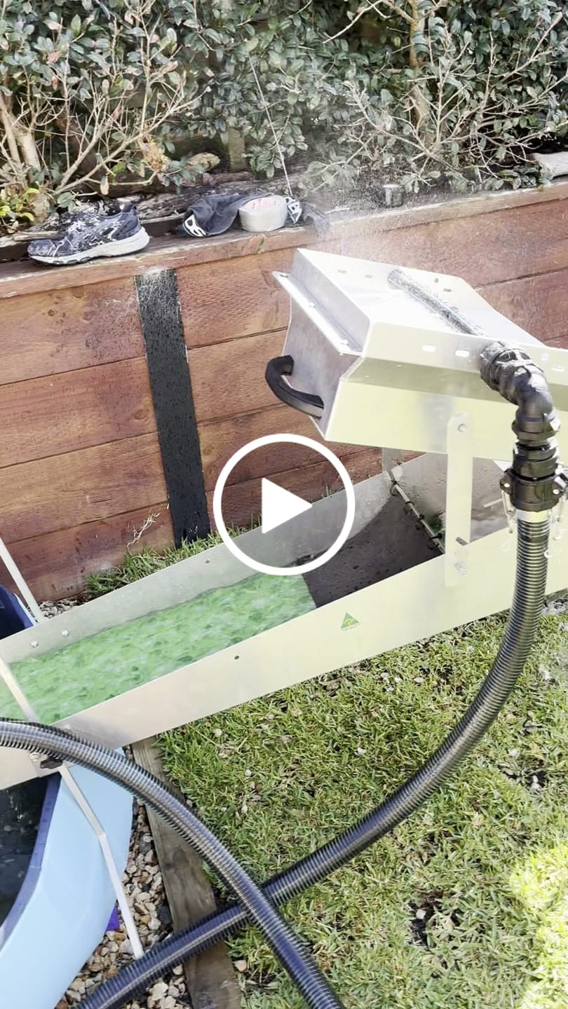 Customer video review of Miners Moss - Black backed
