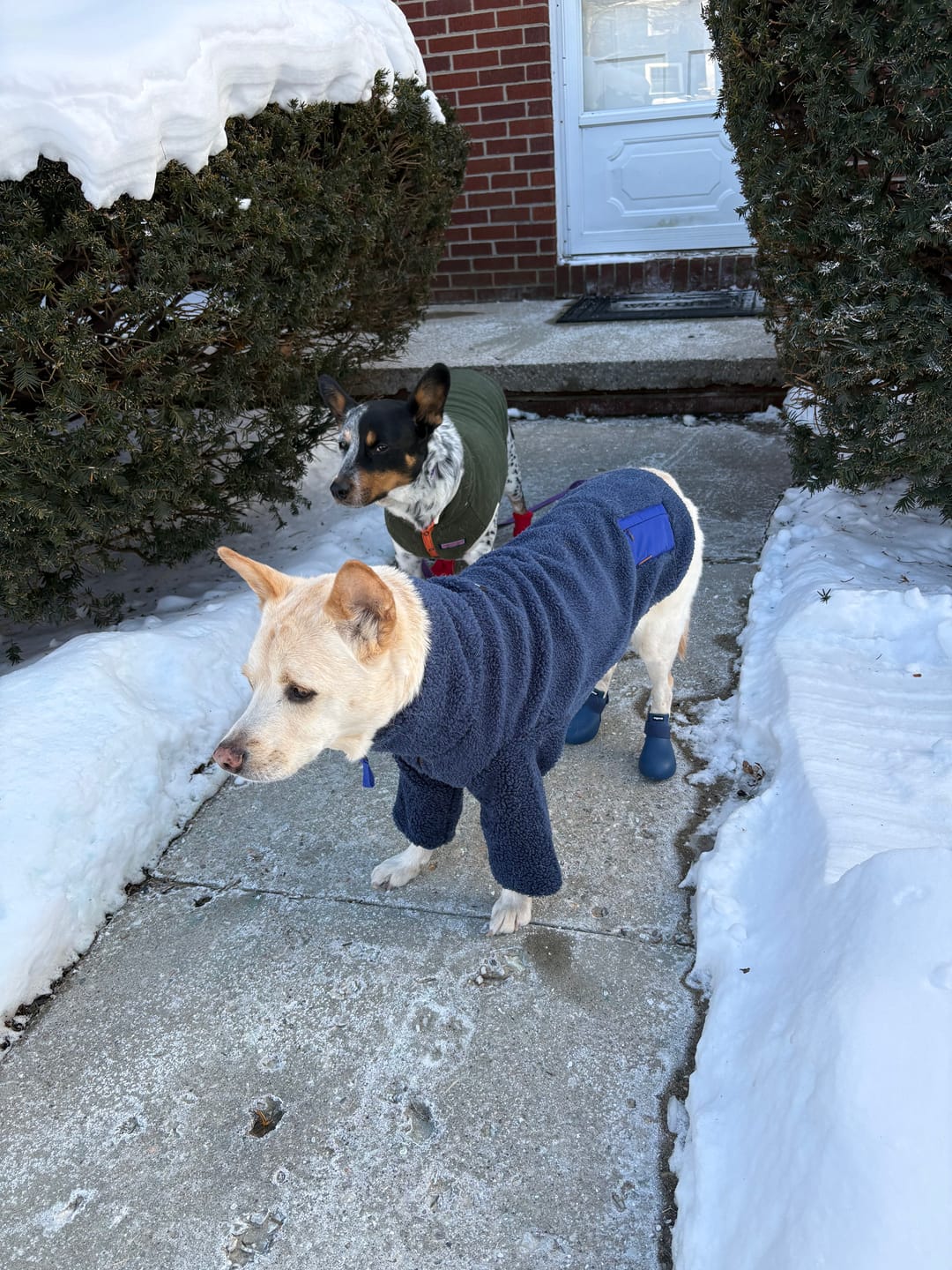 Customer photo review of Monkey Fleece Jacket