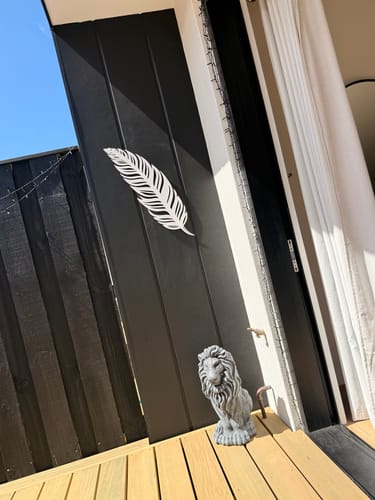 Customer photo review of Simple Feather Wall Art