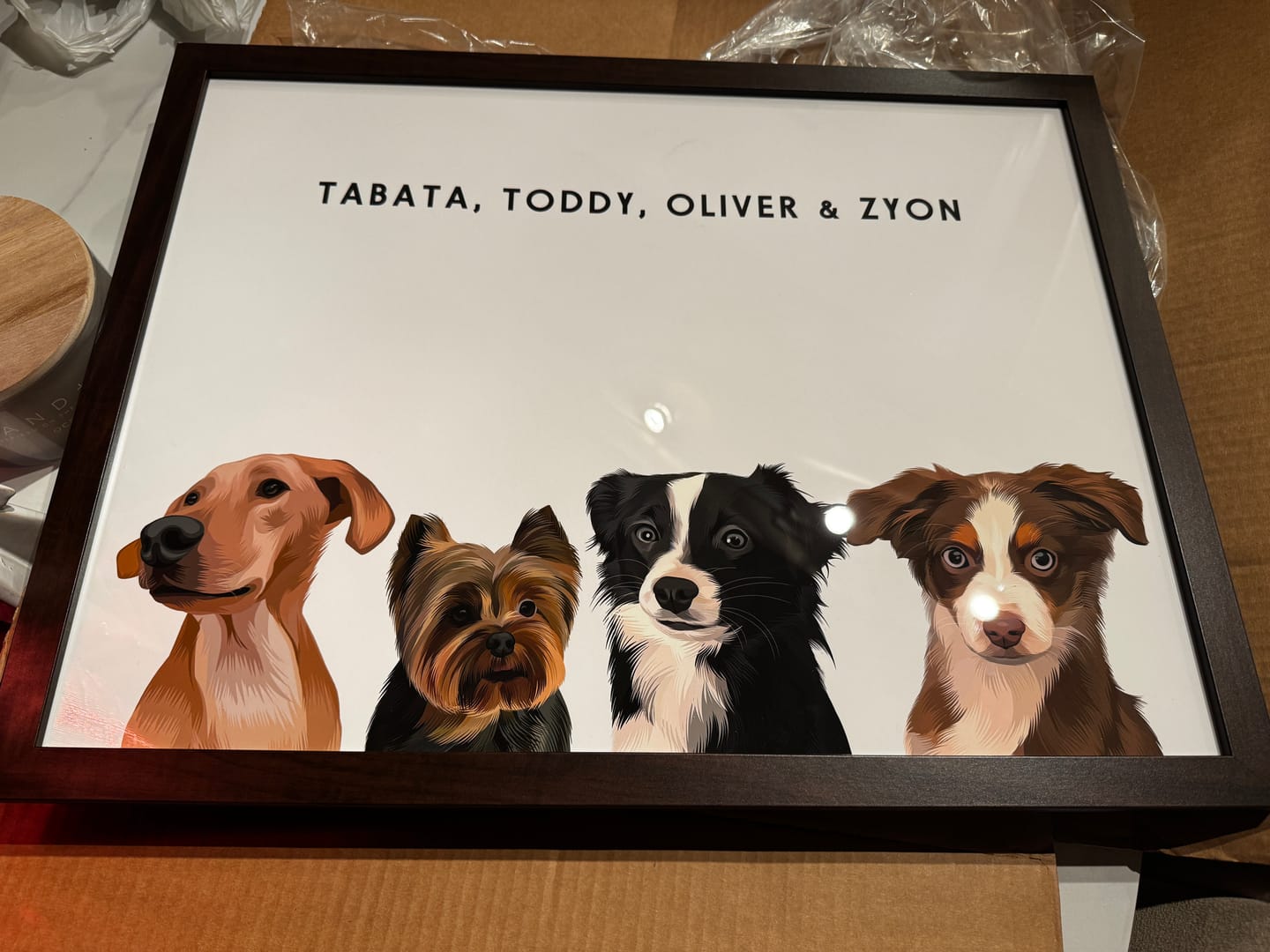 Customer photo review of Custom Four Pet Portrait