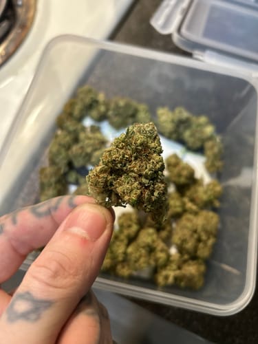 Customer photo review of Jager Sour Diesel - 28 Grams - Sativa