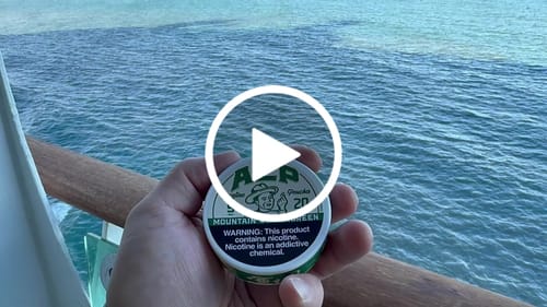 Customer video review of Spearmint Nicotine Pouches