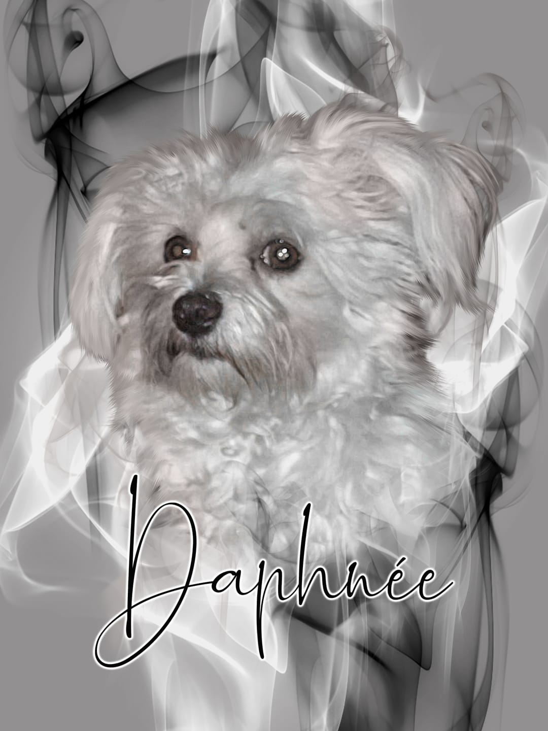 Customer photo review of Portrait Smoke Art