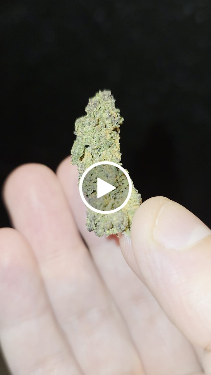 Customer video review of GELATO X 30%