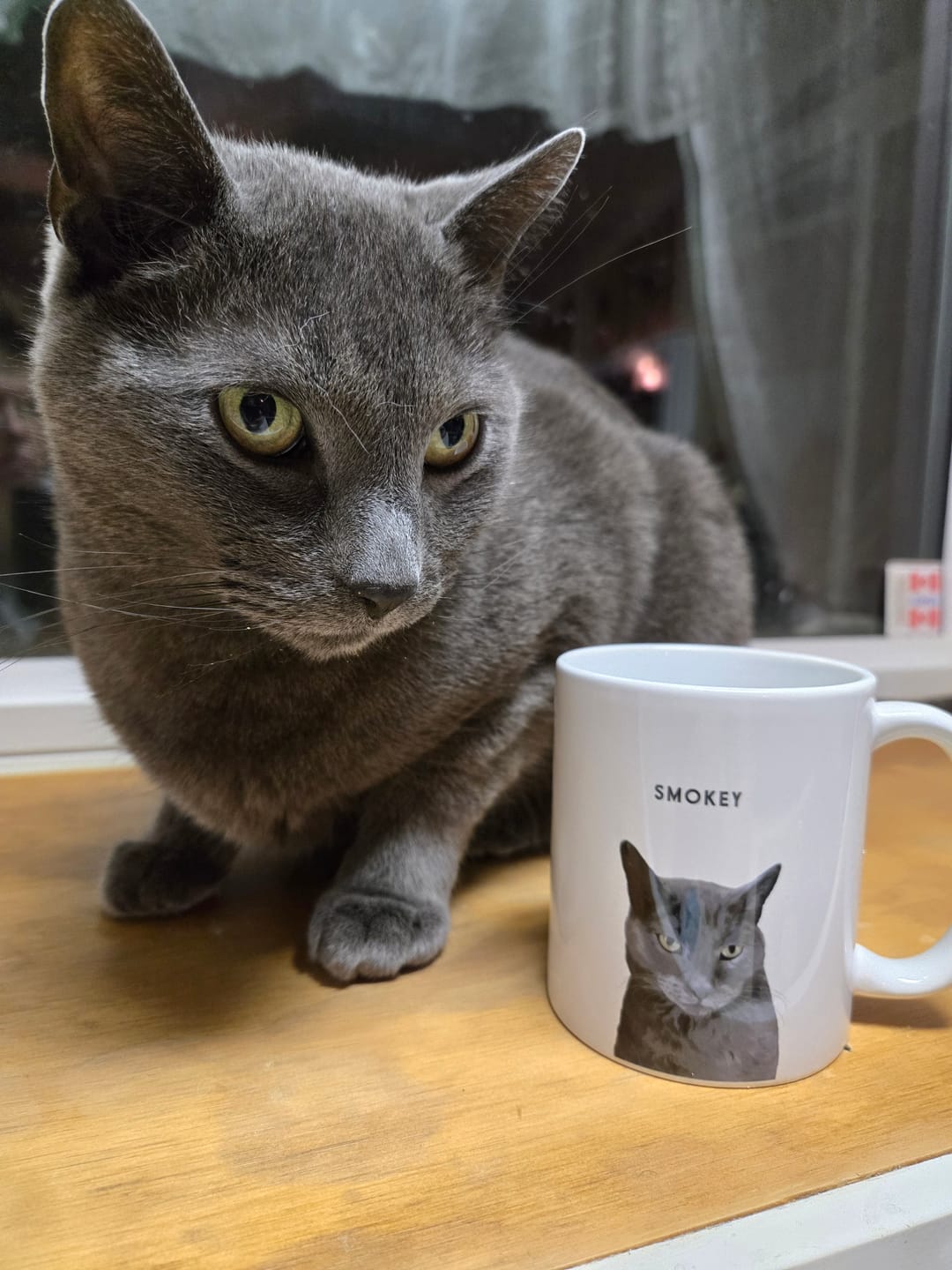 Customer photo review of Custom Pet Portrait Mug