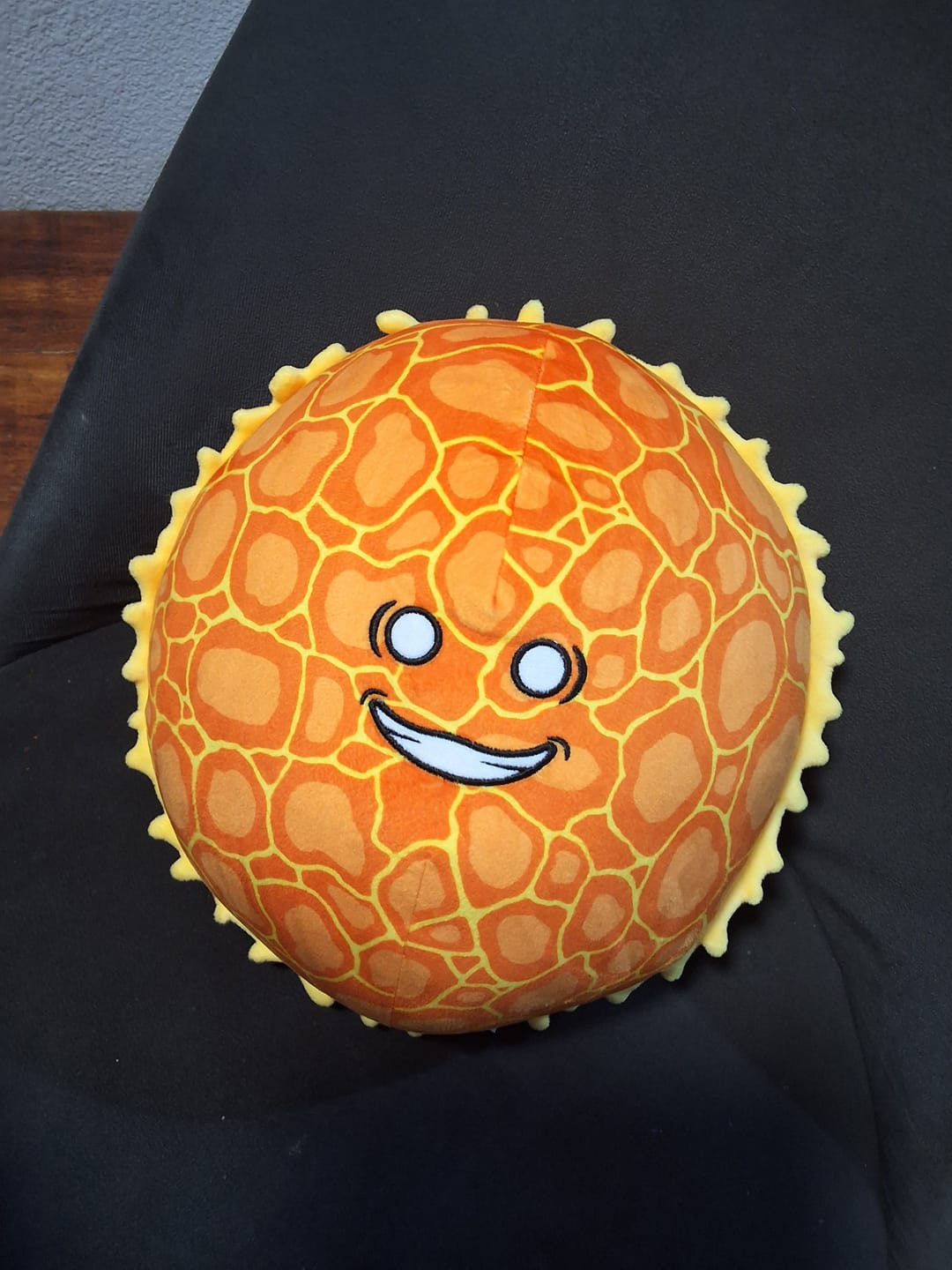 Customer photo review of The SolarBalls Sun Plush
