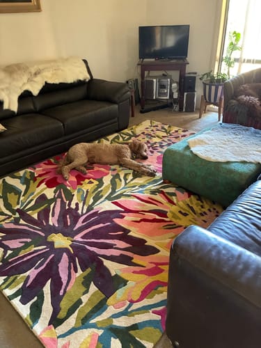 Customer photo review of Harlequin Floreale Fuschsia Pure Wool Designer Rug
