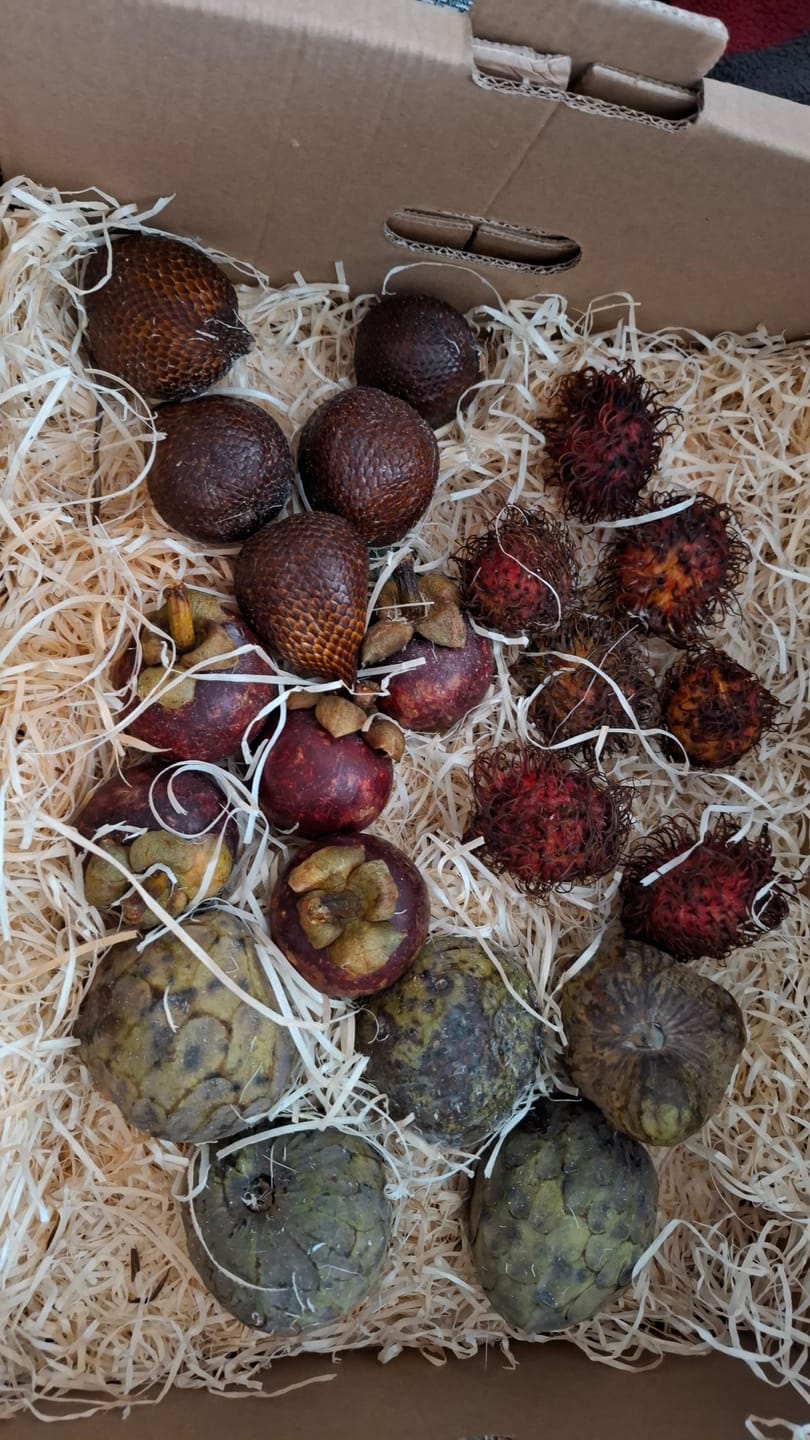 Customer photo review of Salak (Schlangenfrucht) naturbelassen